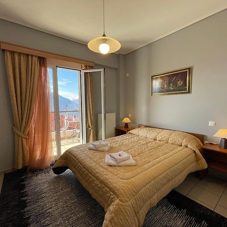 Xenonas Drimos Aparthotel Karpenisi Bagian luar foto