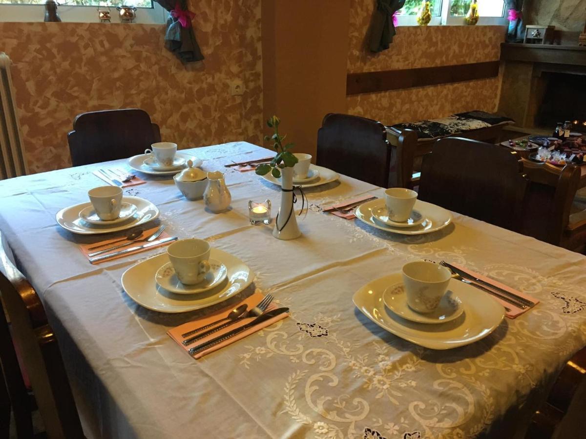 Xenonas Drimos Aparthotel Karpenisi Bagian luar foto