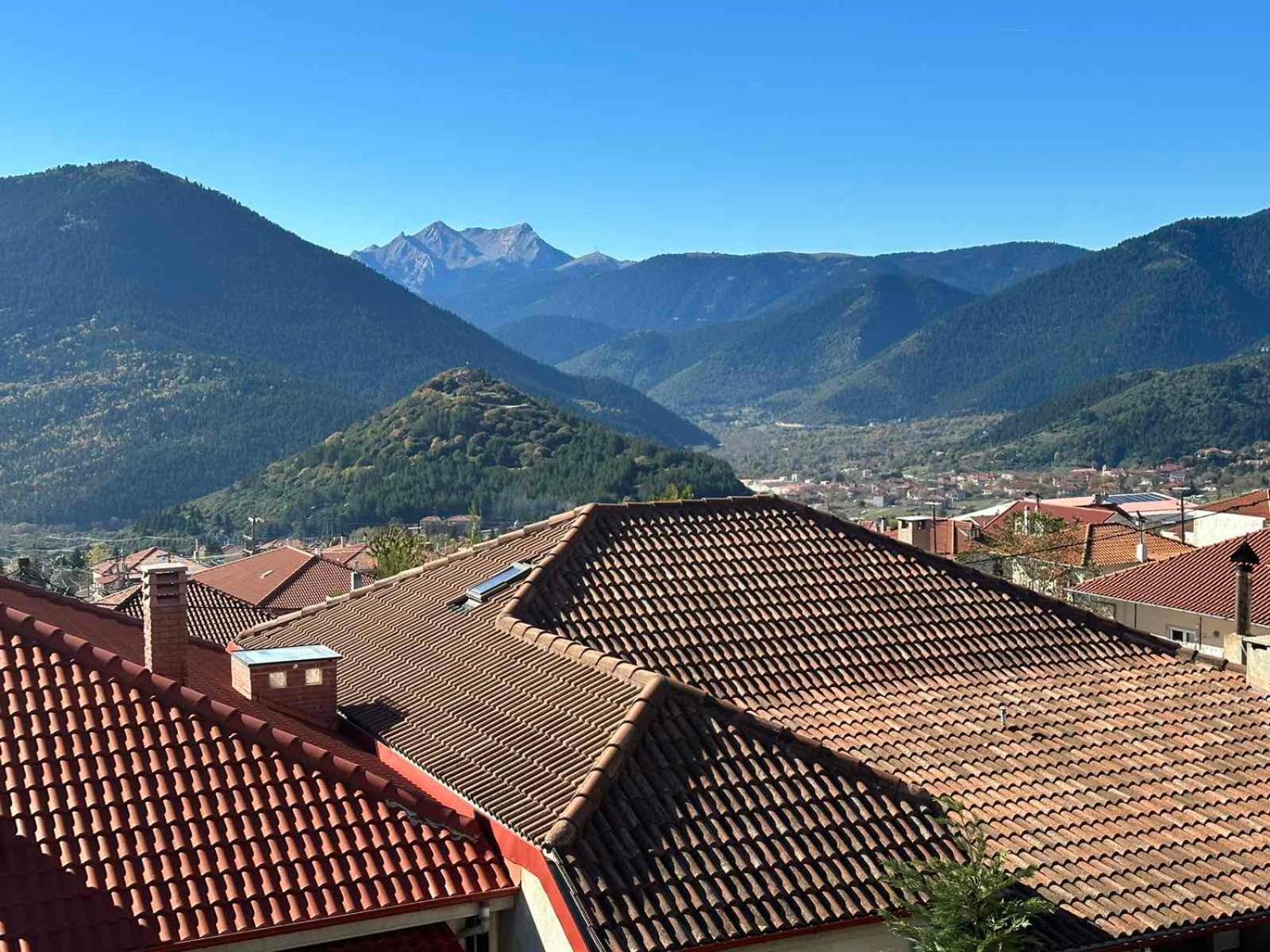 Xenonas Drimos Aparthotel Karpenisi Bagian luar foto