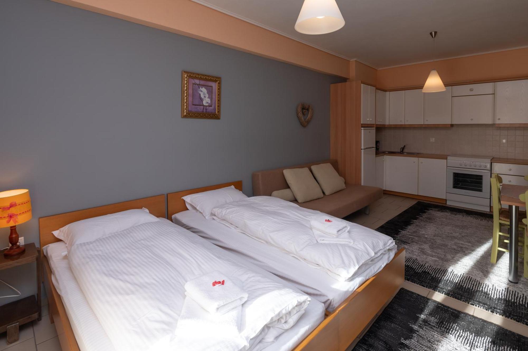 Xenonas Drimos Aparthotel Karpenisi Bagian luar foto